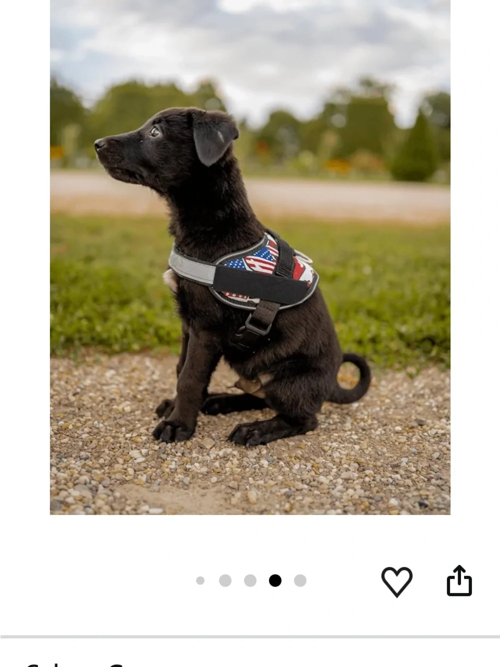 Reflective Black Dog Harness - Heavy Duty No-Pull Vest no choke size L (16-31)